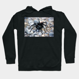 Tarantula Hoodie